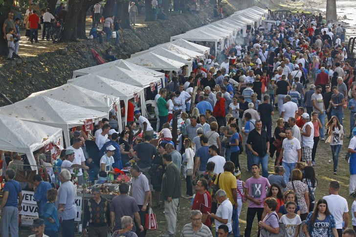 Festival duvan čvaraka