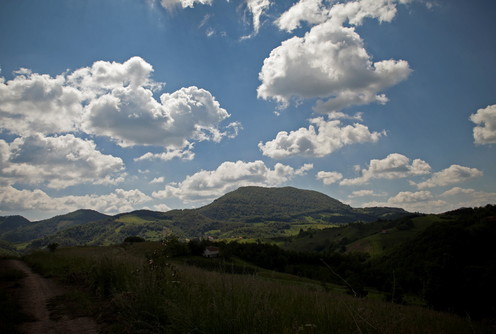 Medvednik (foto: Đorđe Đoković)