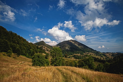 Povlen (foto: Đorđe Đoković)