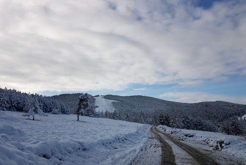 Put ka ski stazi Crni vrh na Divčibarama (novembar 2016.) (foto: Kolubarske.rs)