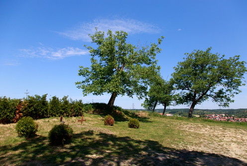 Grob Ljube Popovića (maj 2018.) (foto: Đorđe Đoković)