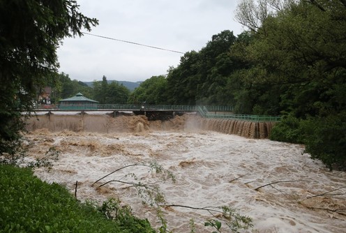 Gradac kod brane (foto: Đorđe Đoković)