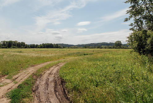 Zemljište u Privrednoj zoni (foto: Đorđe Đoković)