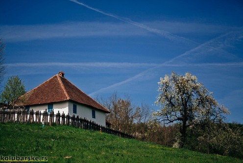 Selo (ilustracija) (foto: Đorđe Đoković)