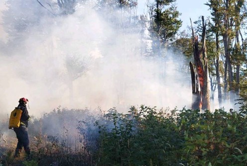 Požar (foto: MUP Srbija)