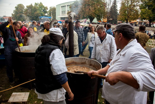 Festival duvan čvaraka (arhiva) (foto: Đorđe Đoković)