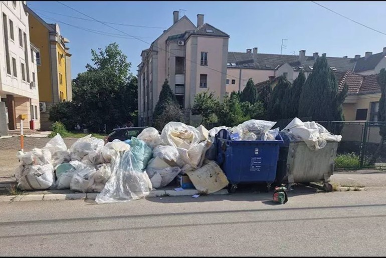 Smeće u ulici Vojvode Stepe  (foto: Ozon Press)