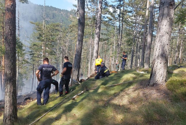 Požar na Divčibarama (foto: M. Maksimović)