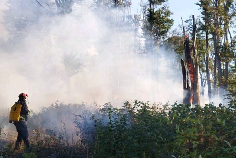 Požar (foto: MUP Srbija)