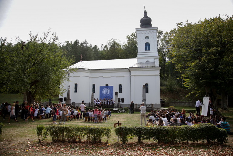 Manifestacija Ljubini dani (arhiva) (foto: Đorđe Đoković)