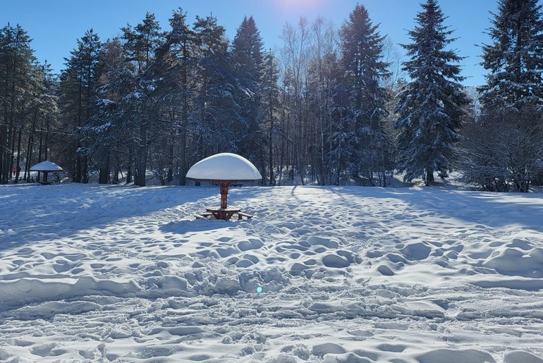 Divčibare - Titov gaj (foto: Kolubarske.rs)