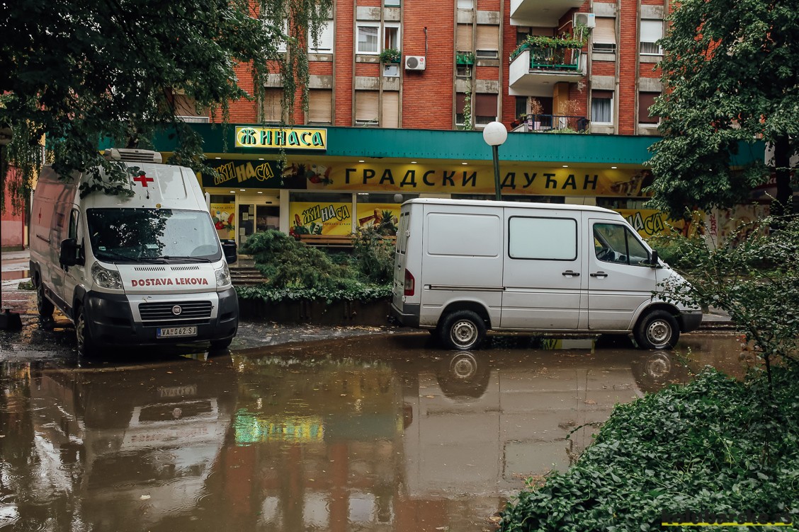 Kod Narcisa