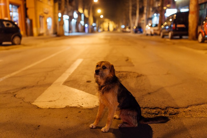 Policijski čas 19.03.2020.